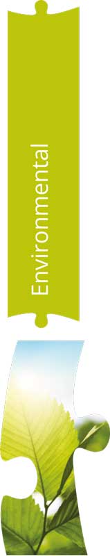 environmental policy